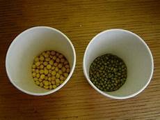 指在无路可走的时候采取冒险行为