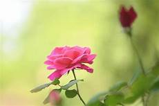 总有一些细节曾经被你忽略