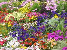 等闲识得东风面 万紫千红总是春