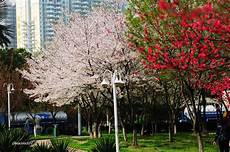 弟子规读后感500字以上 弟子规读后感500字以上,新生须交《弟子规