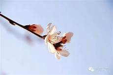 有线电话是什么时候出现的