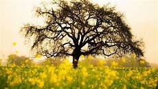  状语从句主要包括时间、地点、原因、结果、目的、方